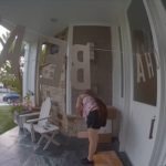 package theft 4