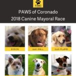 canine mayor canidates