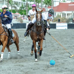 beach polo