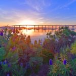 blippe_sunrisebridgeandflowers