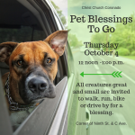 Pet BlessingsTo Go