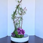 ikebana 3