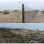 silver strand Fence