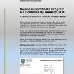 Business Certificate Flier Final small