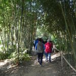 Botanic Gardens Trail