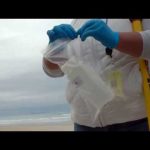 Beach Water Testing Sites May Double in the South County (video)