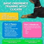 urban_pet_training_classes