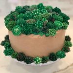 succulent cake1