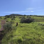 Mother Miguel hike