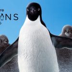 penguins_header_dtcipd-17792_12c37b5b