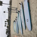 Paddle board races