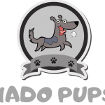 Nado Pups Logo