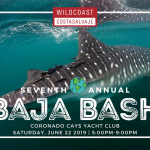 Baja Bash 2019