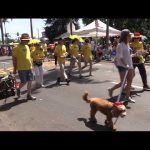 4th of July Parade Highlights – Courtesy of Surf’s Up Studios (video)