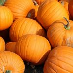 pumpkins-457716