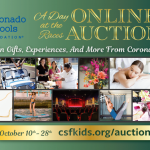 CSF online auction 2019