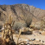 Anza-Borrego