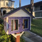 Little Free Library F Ave