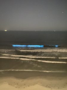 bioluminescence