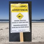 shark sighting sign