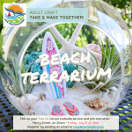 Merry’s Beach Terrarium