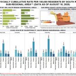 covid data aug 18 sex ethnicity