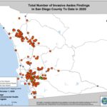 SD County Aeges aegypti mosquitoes