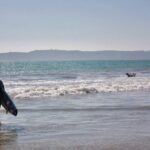 kid surfing ocean