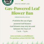 gas powered leaf blower flyer 1