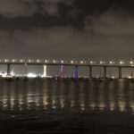 bridge lights 1