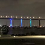 bridge lights 6