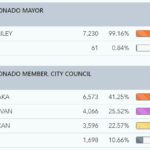 city election results nov 18