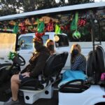 Taylor Tonkin got a stepladder to decorate this festive cart