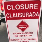 shark beach closure