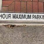 parking time limit curb sign