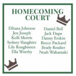 HoCo Court