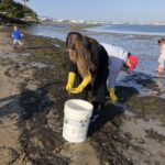 Emerald Keepers beach cleanup