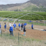 San Pasqual ~ Rotary at Work Day