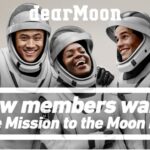 dearMoon project