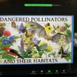 pollinators