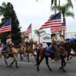 parade_horse