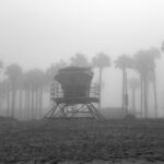 Fog lifeguard tower palm trees