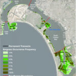 Eelgrass Beds July 2020 2019-2020