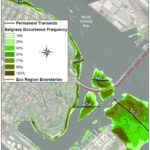 Eelgrass Beds July 2020 2019-2020 Coronado