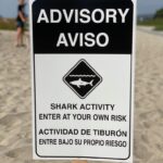 Shark sign – CT stock