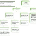 Fill Council Vacancy chart