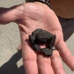 tar found near Shores 1