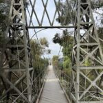 bridge_hike5