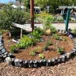 flower fields butterfly garden with bottles