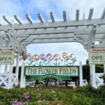 flower fields front sign